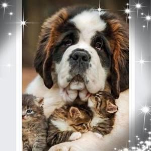 Meet your Posher, Janette